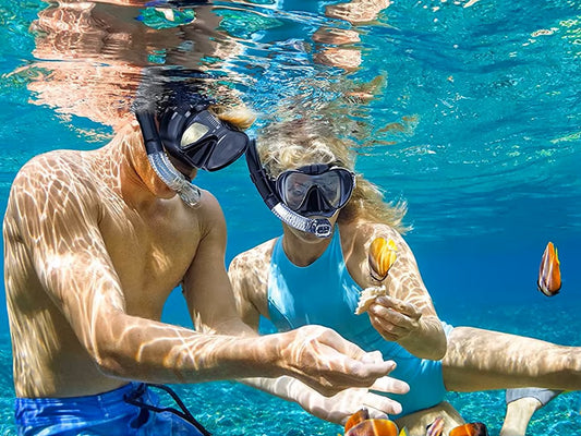 Diving Mask Snorkel Set with Camera Mount Black